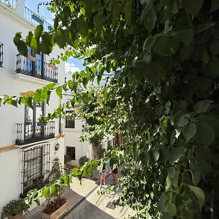 La Cle Boutique Old Town * Marbella